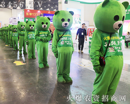 ̏(qing)݁ucs2019ʡֲ(hu)