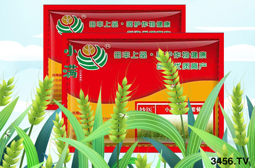 緊急發(fā)布:今年小麥條銹病提前暴發(fā),千萬要警惕! 緊急發(fā)布:今年小麥條銹病提前暴發(fā),千萬要警惕!