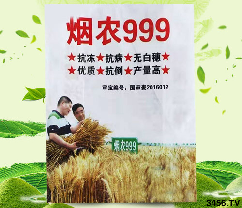 小麥什么時候冬灌?必須準確判斷!該灌不灌,必有后患! 小麥什么時候冬灌?必須準確判斷!該灌不灌,必有后患!