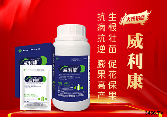 土地確權(quán)結(jié)束后,農(nóng)民退出土地一畝補(bǔ)償為5萬,按期退出一年800元,你選哪個? 土地確權(quán)結(jié)束后,農(nóng)民退出土地一畝補(bǔ)償為5萬,按期退出一年800元,你選哪個?