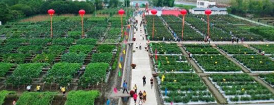 2020r(nng)Y[ճek^ļȫ憢ӣ