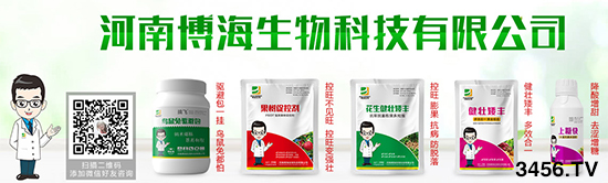 l(f)չףRϲ״cr(nng)Y̾W(wng)_(d)ɺ