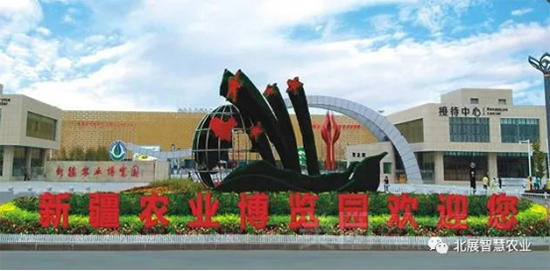 z·NI(y)l(f)չ2020½N7?lin)P