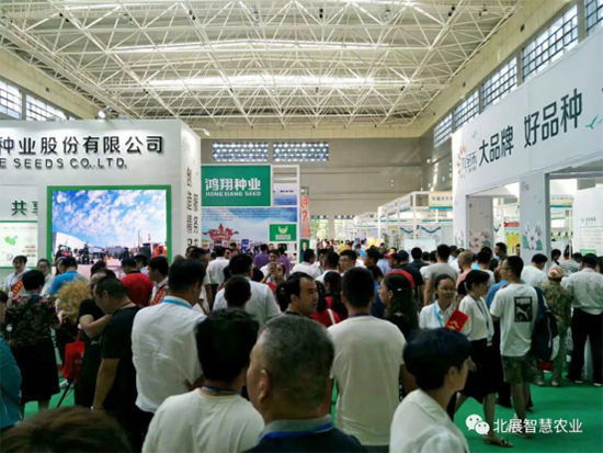 z·NI(y)l(f)չ2020½N7?lin)P