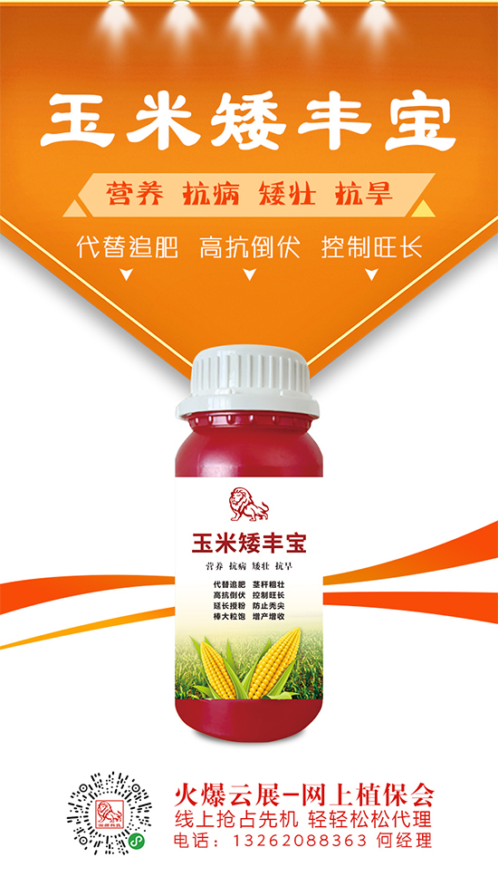 2020年5月20日河南地區(qū)玉米價(jià)格收購(gòu)報(bào)價(jià) 2020年5月20日河南地區(qū)玉米價(jià)格收購(gòu)報(bào)價(jià)