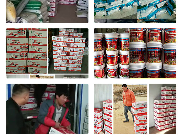 鑻卞浗鍗¤開(kāi)澶紙鍖椾含錛夊啘涓氱鎶鏈夐檺鍏徃浜у搧_10.jpg 鑻卞浗鍗¤開(kāi)澶紙鍖椾含錛夊啘涓氱鎶鏈夐檺鍏徃浜у搧_10.jpg