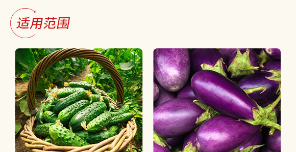 農(nóng)用微生物菌劑(一號菌)-五道豐 農(nóng)用微生物菌劑(一號菌)-五道豐