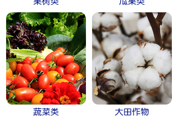 灞變笢寮哄啘鐢熺墿縐戞妧鏈夐檺鍏徃浜у搧璇︽儏欏?_06.jpg 灞變笢寮哄啘鐢熺墿縐戞妧鏈夐檺鍏徃浜у搧璇︽儏欏?_06.jpg