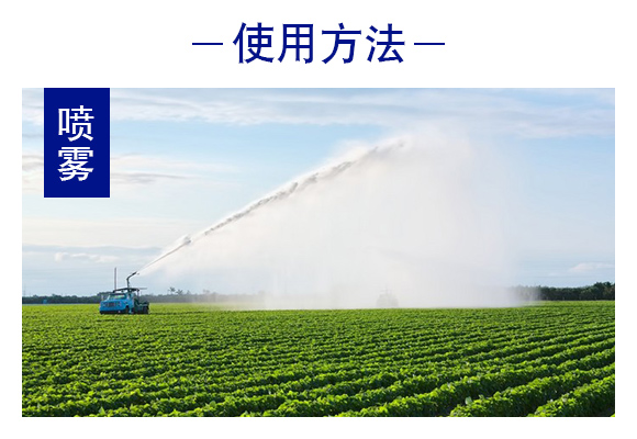 灞變笢寮哄啘鐢熺墿縐戞妧鏈夐檺鍏徃浜у搧璇︽儏欏?_07.jpg 灞變笢寮哄啘鐢熺墿縐戞妧鏈夐檺鍏徃浜у搧璇︽儏欏?_07.jpg