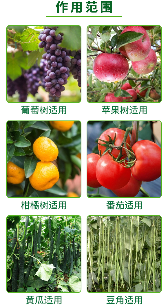 全能有機(jī)碳-海金剛-奧德福 全能有機(jī)碳-海金剛-奧德福