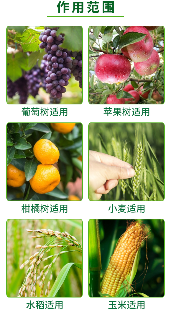 勁皇-調(diào)理肥-奧德福 勁皇-調(diào)理肥-奧德福