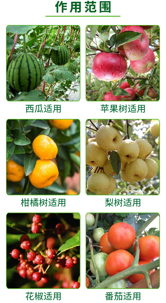 生物碳能水溶肥-海金剛-奧德福 生物碳能水溶肥-海金剛-奧德福