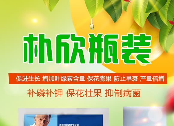 樸欣瓶裝 樸欣瓶裝