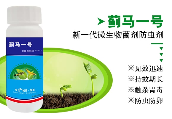 薊馬一號-德瑞森 薊馬一號-德瑞森