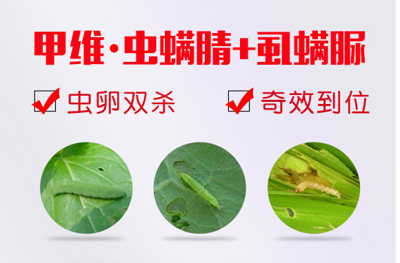 ׾Sx(chng)-ʭ-r(nng)