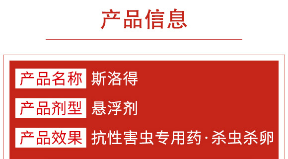 ׾Sx(chng)-ʭ-r(nng)