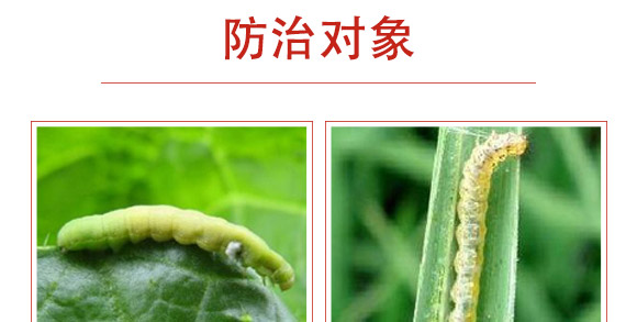 ׾Sx(chng)-ʭ-r(nng)