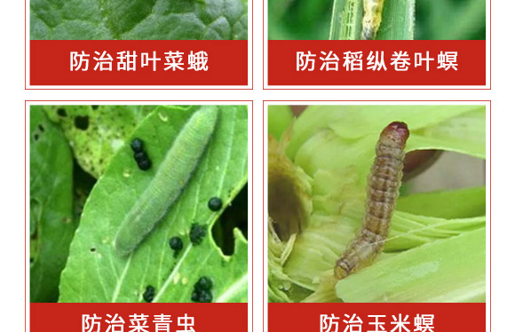 ׾Sx(chng)-ʭ-r(nng)