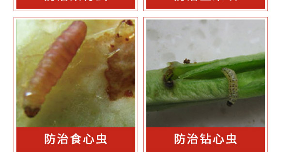 ׾Sx(chng)-ʭ-r(nng)