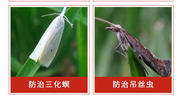 ׾Sx(chng)-ʭ-r(nng)