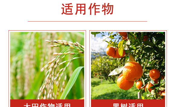 ׾Sx(chng)-ʭ-r(nng)