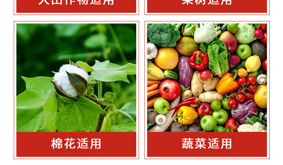 ׾Sx(chng)-ʭ-r(nng)