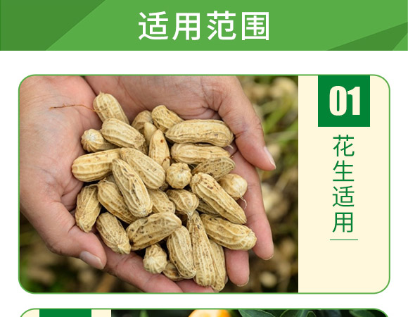 含腐殖酸水溶肥料-葉菲聚能氮-德邦葉菲 含腐殖酸水溶肥料-葉菲聚能氮-德邦葉菲