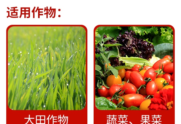 3%װSر}΢鄩--r(nng)