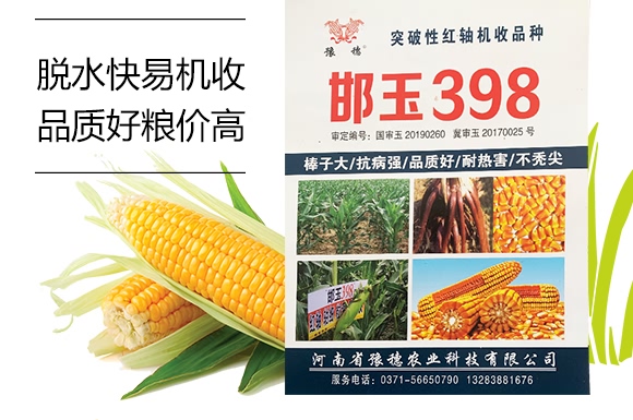 398-׷N-ԥr(nng)I(y)