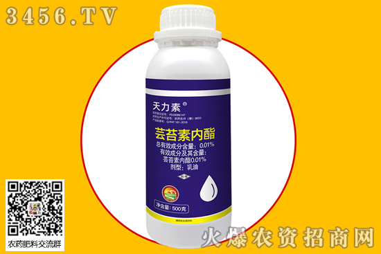 玉米可以打蕓苔素嗎 玉米幾葉能用蕓苔素 增產(chǎn)效果 玉米可以打蕓苔素嗎 玉米幾葉能用蕓苔素 增產(chǎn)效果