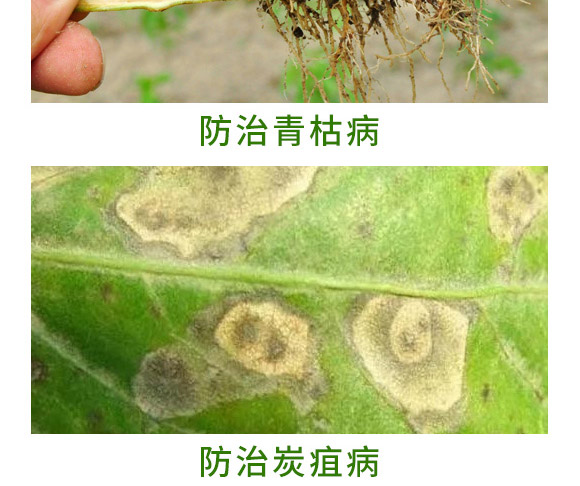 銀離子重茬根腐特抑劑-萬稼能-乾農(nóng) 銀離子重茬根腐特抑劑-萬稼能-乾農(nóng)