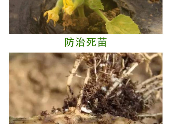 萬稼能13元素(瓶裝)-乾農 萬稼能13元素(瓶裝)-乾農