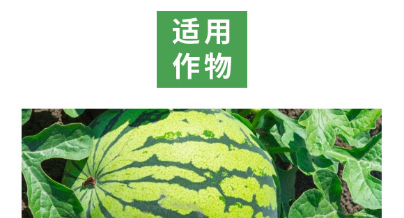 萬稼能13元素(瓶裝)-乾農 萬稼能13元素(瓶裝)-乾農