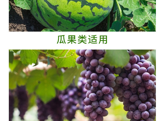 萬稼能13元素(瓶裝)-乾農 萬稼能13元素(瓶裝)-乾農