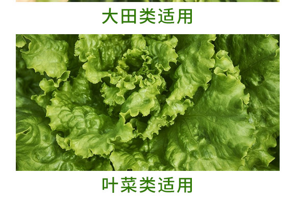 萬稼能13元素(瓶裝)-乾農 萬稼能13元素(瓶裝)-乾農