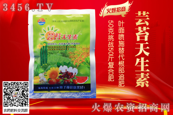 ⠻gُ¿g򣬵