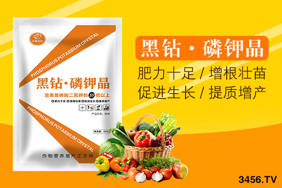 Z＼g(sh)޹˾IЩa(chn)Ʒ