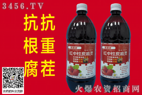 草莓炭疽病用什么農(nóng)藥好? 草莓炭疽病用什么農(nóng)藥好?