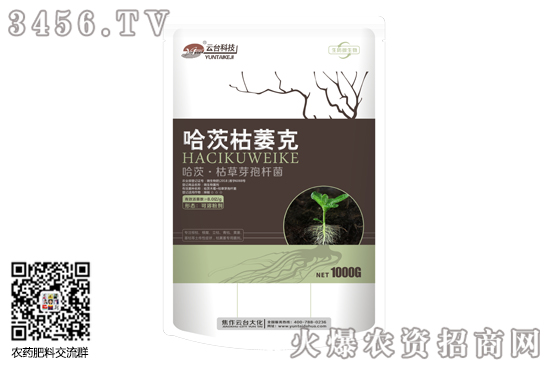 番茄枯萎病用什么藥好? 番茄枯萎病用什么藥好?