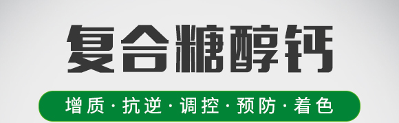 復合糖醇鈣-葉菲中補-德邦葉菲 復合糖醇鈣-葉菲中補-德邦葉菲