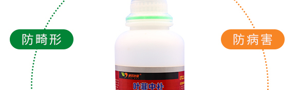 復合糖醇鈣-葉菲中補-德邦葉菲 復合糖醇鈣-葉菲中補-德邦葉菲