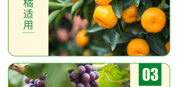 復合糖醇鈣-葉菲中補-德邦葉菲 復合糖醇鈣-葉菲中補-德邦葉菲