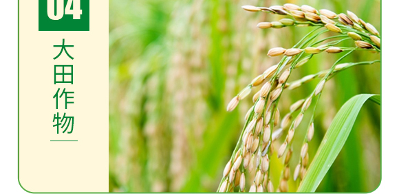 復合糖醇鈣-葉菲中補-德邦葉菲 復合糖醇鈣-葉菲中補-德邦葉菲