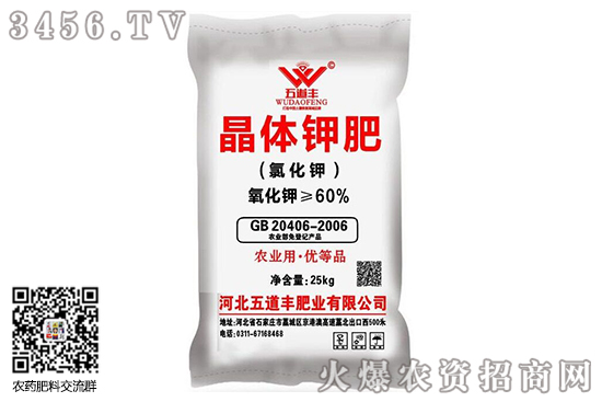 ⛷Јwַ(wn)2020-9-16⛷ʃrr