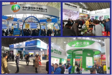 行業(yè)聚焦|哈爾濱種業(yè)博覽會(huì)正式通過(guò)國(guó)際展覽業(yè)協(xié)會(huì)UFI認(rèn)證 行業(yè)聚焦|哈爾濱種業(yè)博覽會(huì)正式通過(guò)國(guó)際展覽業(yè)協(xié)會(huì)UFI認(rèn)證