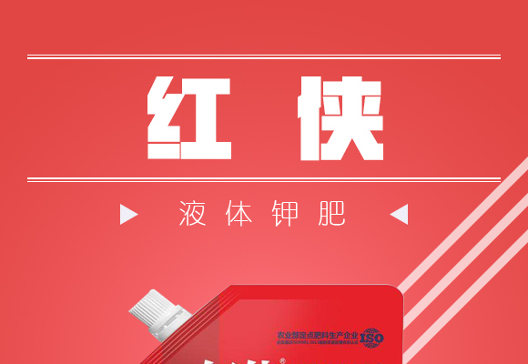 娑蹭綋閽捐偉-綰緺_01.jpg 娑蹭綋閽捐偉-綰緺_01.jpg