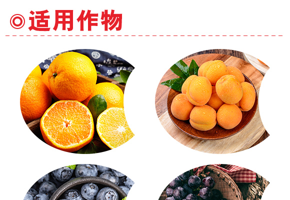 娑蹭綋閽捐偉-綰緺_04.jpg 娑蹭綋閽捐偉-綰緺_04.jpg