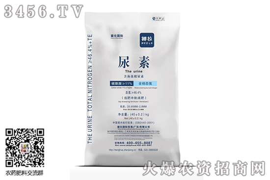 Ј(wn)ϝq2020-10-31؃r(ji)(bo)r(ji)