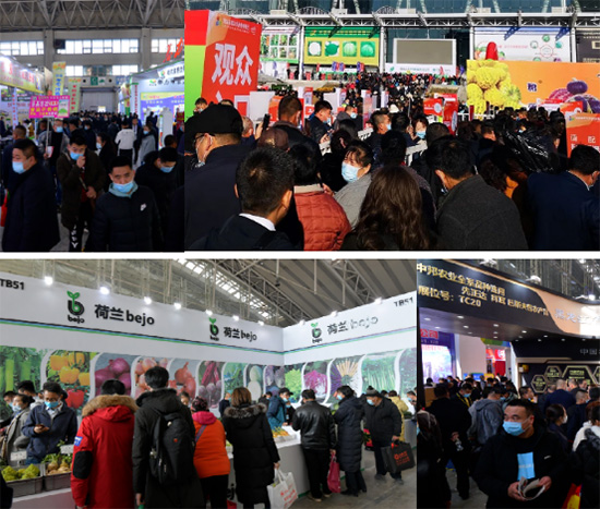 逆勢啟航|第26屆哈爾濱種業(yè)博覽會圓滿落幕 逆勢啟航|第26屆哈爾濱種業(yè)博覽會圓滿落幕