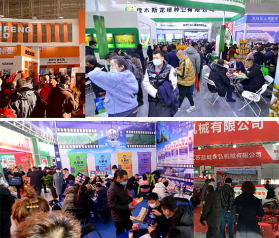 逆勢啟航|第26屆哈爾濱種業(yè)博覽會圓滿落幕 逆勢啟航|第26屆哈爾濱種業(yè)博覽會圓滿落幕